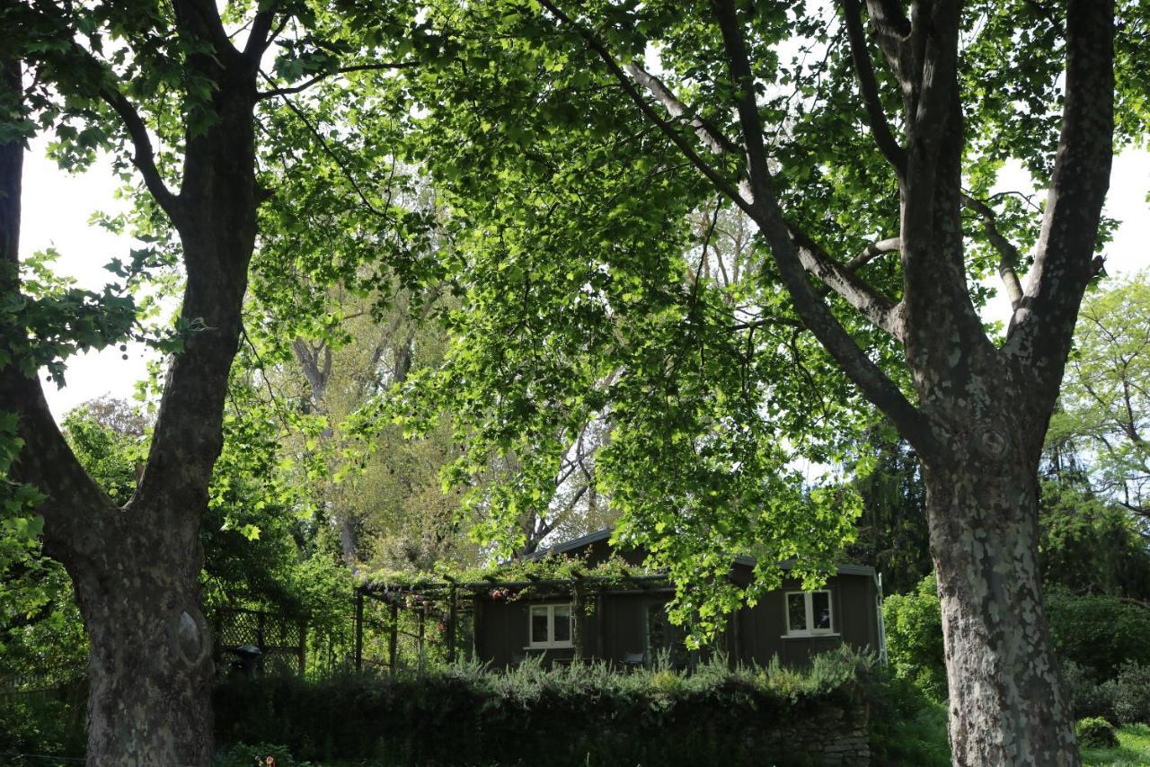 The Leafy Flat Apartment Хейвлок Норт Екстериор снимка